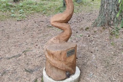 IMG_20220618_121455