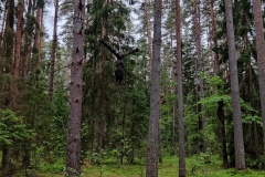 IMG_20220618_122715